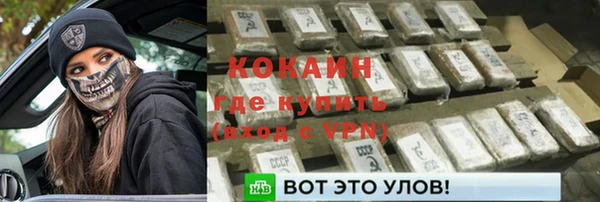 PSILOCYBIN Навашино