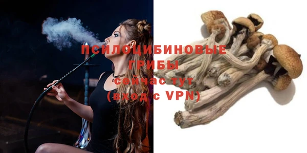 СК Нефтекумск