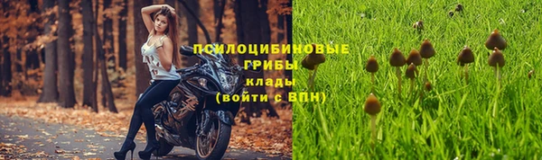 СК Нея