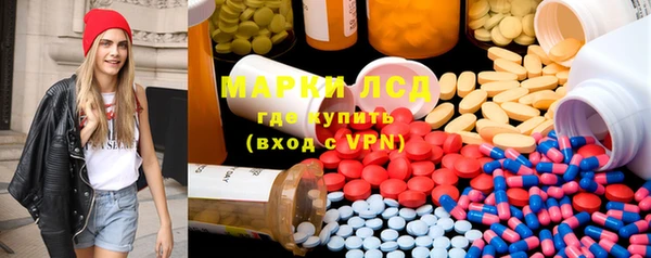 PSILOCYBIN Навашино