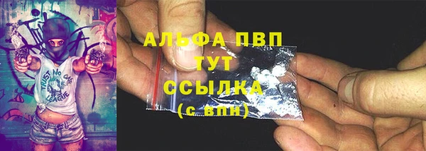 PSILOCYBIN Навашино