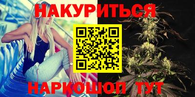 Альфа ПВП Будённовск