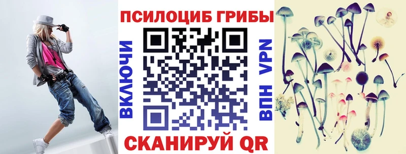 Псилоцибиновые грибы Psilocybe  купить наркотики сайты  Домодедово 