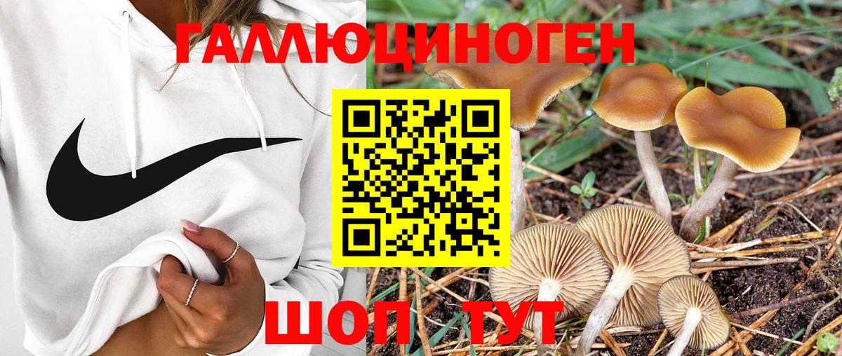 Галлюциногенные грибы ЛСД  Вход с VPN  Домодедово 